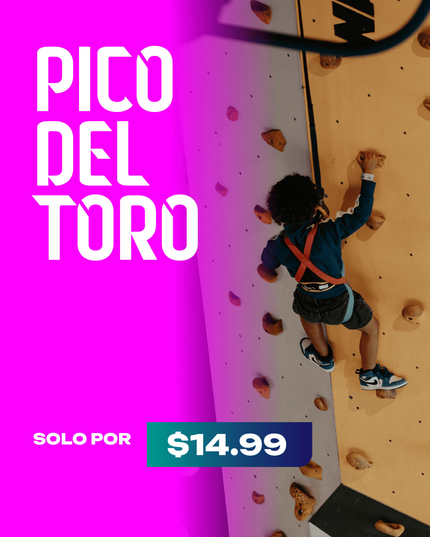 PICO DEL TORO